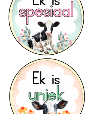 Motiverende Sirkels - Koei Tema