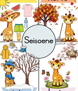 Kameelperd Seisoene A4