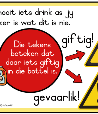 Veiligheid in en om die huis